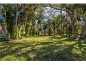 Large grassy backyard dotted with mature trees providing ample shade on a sunny day at 1150 Winston St, Port Charlotte, FL 33952