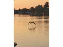 Pelican in flight over calm water at sunset at 4049 Baden Dr, Holiday, FL 34691