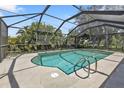 Screened-in pool with surrounding patio and lush tropical landscaping at 791 Haleybury St, Port Charlotte, FL 33948