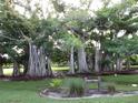 Mature trees line the property, providing shade and privacy at 601 Shreve St # 12B, Punta Gorda, FL 33950