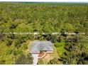 House nestled in a lush, green, wooded area at 11786 De Miranda Ave, North Port, FL 34287