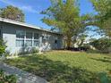 Spacious side yard with lush green grass and bamboo at 107 Dunn Ne Dr, Port Charlotte, FL 33952