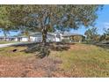 Single-story home with a large front yard and mature tree at 7146 Sablon Rd, North Port, FL 34291