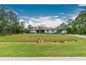 Ranch style home with light blue exterior, spacious yard, and mature trees at 27545 Monte Cristo Blvd, Punta Gorda, FL 33955