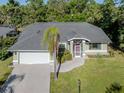 Charming single-story home featuring a well-manicured lawn, attached garage, and lush landscaping at 3341 Briant St, North Port, FL 34287