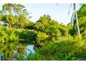 Scenic backyard with lush greenery, a tranquil pond, and mature palm trees for a serene outdoor experience at 1426 Natrona Dr, North Port, FL 34286