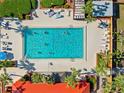 Aerial view of a community pool with clear blue water surrounded by lounge chairs and greenery at 3006 Caring Way # 431, Port Charlotte, FL 33952