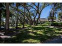 Spacious front yard with mature trees providing shade and a serene atmosphere at 1622 Red Oak Ln, Port Charlotte, FL 33948