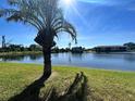 Scenic lake view with a palm tree in the foreground, showcasing the peaceful community setting at 4000 Oakview Dr # L2, Punta Gorda, FL 33980