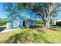 Exterior view of blue detached garage/outbuilding with a white door surrounded by lush green grass and a mature tree at 434 W Grace St, Punta Gorda, FL 33950