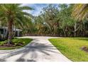 Green lawn with a circular driveway lined with mature trees leading to the home at 75 Spyglass Aly, Placida, FL 33946