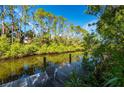 Picturesque view of a private dock and calm river, lined with lush green trees, perfect for nature lovers at 2091 Cannolot Blvd, Port Charlotte, FL 33948