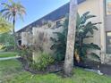 Exterior view of property with lush tropical landscaping and mature palm trees at 4072 Oakview Dr # C5, Punta Gorda, FL 33980