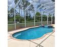 Inviting screened-in pool with an attached spa, surrounded by lush greenery, perfect for relaxation and outdoor enjoyment at 1563 Arundel Ave, North Port, FL 34288