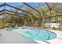 Screened-in pool area with crystal clear water, surrounded by lush landscaping, perfect for relaxation at 3956 Fairchild Ave, North Port, FL 34287