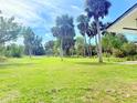 Expansive grassy backyard with mature palm trees, providing a private outdoor space at 2715 Taylor Rd, Punta Gorda, FL 33950