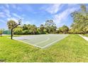 Outdoor basketball court with well-maintained surface and hoops, surrounded by lush greenery at 1068 Harbour Cape Pl, Punta Gorda, FL 33983