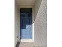 Close-up of a stylish blue front door with decorative panels and modern hardware at 25336 Deep Creek Blvd, Punta Gorda, FL 33983