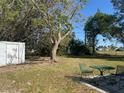 Large backyard with utility shed, patio, and mature trees at 3308 Pinetree St, Port Charlotte, FL 33952
