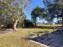 Spacious backyard featuring patio furniture, mature trees and a fenced perimeter at 3308 Pinetree St, Port Charlotte, FL 33952