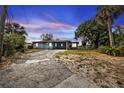 Single story home featuring a wide driveway, mature landscaping, and a covered carport entryway at 103 Curtis Ne Ter, Port Charlotte, FL 33952
