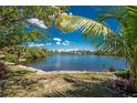 Picturesque waterfront view framed by mature palm trees, showcasing the scenic location at 2244 Meetze St, Port Charlotte, FL 33953