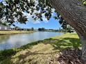 Scenic backyard view of the community lake, with mature trees offering shade at 749 Watersedge St, Englewood, FL 34223