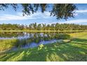 Scenic water view of lake lined with mature trees reflecting a calm blue sky at 1085 Jonah Dr, North Port, FL 34289