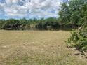 A spacious backyard with picturesque water views and lush greenery at 6728 Thorman Rd, Port Charlotte, FL 33981