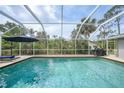 Sparkling pool in a screened enclosure surrounded by lush tropical foliage at 1556 Eagle St, Port Charlotte, FL 33952