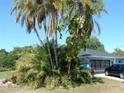 Exterior view of blue home with screened garage and multiple palm trees in the front lawn at 1233 Dewhurst St, Port Charlotte, FL 33952