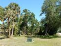 View of a vacant lot with mature trees, clear sky and residential street at 1233 Dewhurst St, Port Charlotte, FL 33952