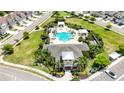 Aerial view of the community pool featuring palm trees, lounge chairs, cabanas, and meticulously maintained landscaping at 3664 Tin Cup Blvd, Sarasota, FL 34232