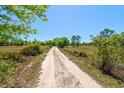Gravel driveway leading through a beautiful landscape with abundant trees and a lush, green field at 47350 Bermont Rd, Punta Gorda, FL 33982