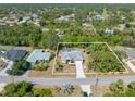 Aerial view of the house in its lot showing a screened in pool and surrounding green trees at 1313 Wise Dr, North Port, FL 34286