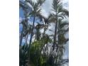 Lush tropical foliage with swaying palm trees against a partly cloudy sky at 618 Bird Bay S Dr # 109, Venice, FL 34285