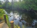 Scenic water view from dock with lush, green surroundings at 15431 Orangeade Dr, Punta Gorda, FL 33955