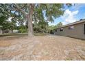 Spacious backyard featuring mature trees, offering ample space for outdoor activities and relaxation at 23165 Glen Ave, Punta Gorda, FL 33980