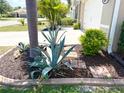 Beautiful landscaping around the home featuring a variety of plants and mulch at 25008 Lalique Pl, Punta Gorda, FL 33950