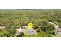 Aerial view showcasing a home surrounded by lush greenery, offering privacy and a tranquil atmosphere at 1444 Frisco Ter, Port Charlotte, FL 33953
