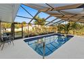 Enclosed swimming pool with blue trim, surrounded by a screened enclosure and greenery at 372 Cory St, Port Charlotte, FL 33953