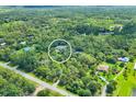 Expansive lot surrounded by dense trees, offering privacy and seclusion at 6514 N Biscayne Dr, North Port, FL 34291