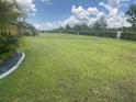 Large backyard offering ample space for recreation, framed by a black metal fence for privacy at 25228 E Lenox Cir, Punta Gorda, FL 33950