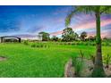 Expansive backyard featuring verdant lawn and tropical landscaping at 16336 Preservation Blvd, Punta Gorda, FL 33982