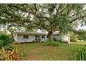 Light blue ranch home with lush landscaping and large oak tree at 110 S Oxford Dr, Englewood, FL 34223