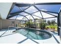 Enclosed kidney shaped pool with screened enclosure at 289 White Marsh Ln, Rotonda West, FL 33947