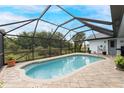 Relaxing kidney-shaped pool with screened enclosure at 10127 Peach Ave, Englewood, FL 34224