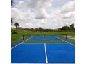 Outdoor pickleball court offers a fun recreational amenity with blue and green surface and net against a scenic backdrop at 6341 Biggs St, Englewood, FL 34224