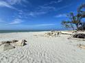 Picturesque beach with white sands and azure waters, showcasing its natural beauty at 40 Sand Dollar Ln, Englewood, FL 34223