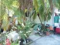 Landscaped front entrance features palm trees, tropical plants, and stepping stone pathway at 26191 Angelica Rd, Punta Gorda, FL 33955